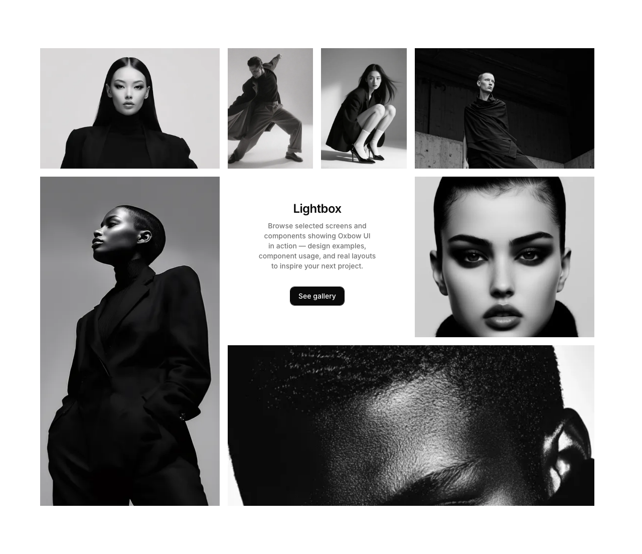 gallery preview 7